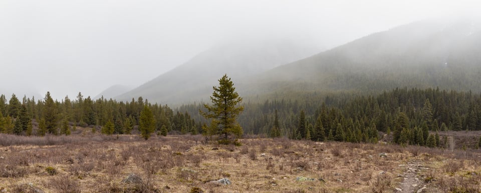 Photograph by Scott Horsfall